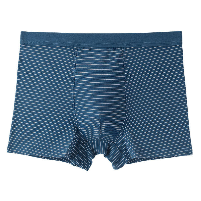 Boxershorts aus Baumwolle mit Streifen - Dunkelblau - 9XL - image 9
