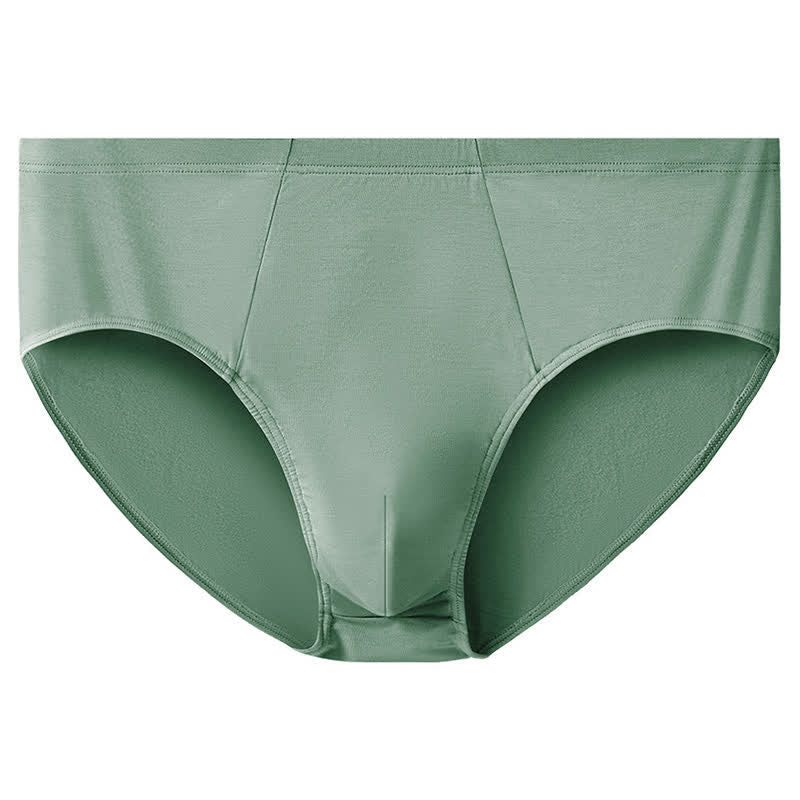 Einfache, hoch taillierte Stretch-Hüftslips in Übergröße (2er-Pack) - Grün - 10XL - image 14