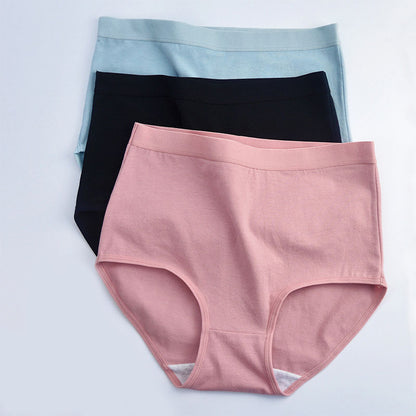 Baumwollslips mit hoher Taille in Übergröße (6er-Pack)