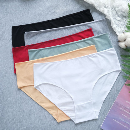 Hipster-Slip mit voller Bedeckung in Übergröße (6er-Pack)