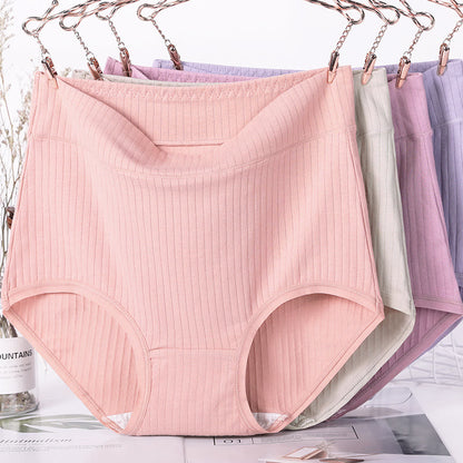 Weiche Baumwollslips (3er-Pack) - image 1