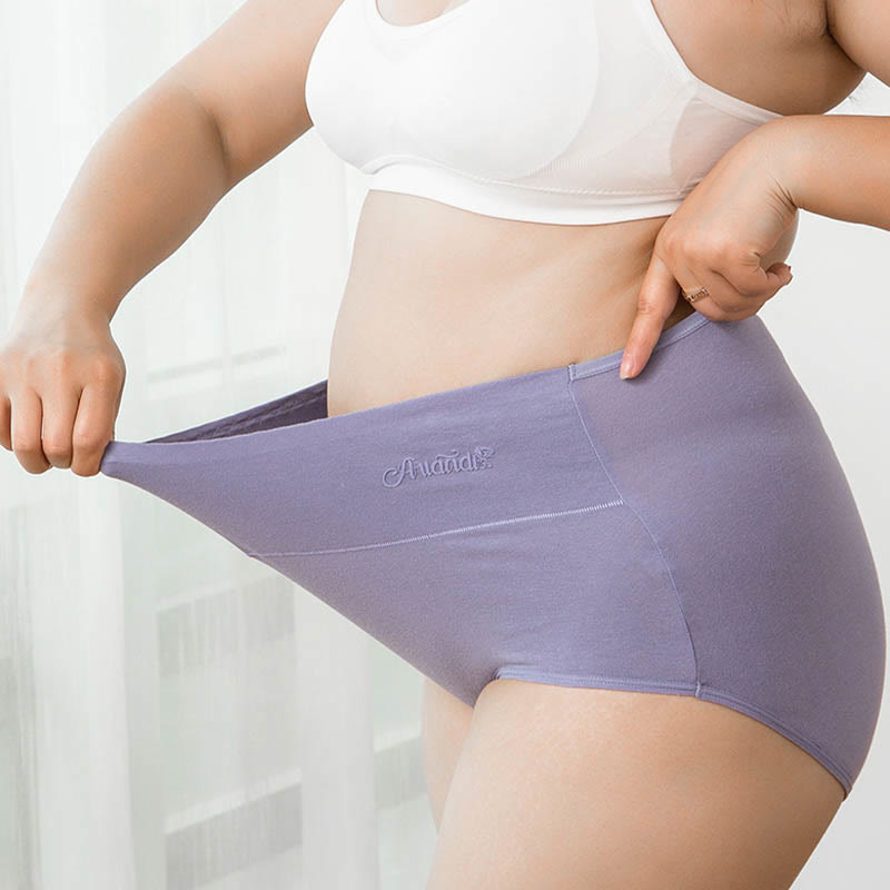 Dehnbare Höschen mit hoher Taille in Übergröße (4er-Pack) - image 8