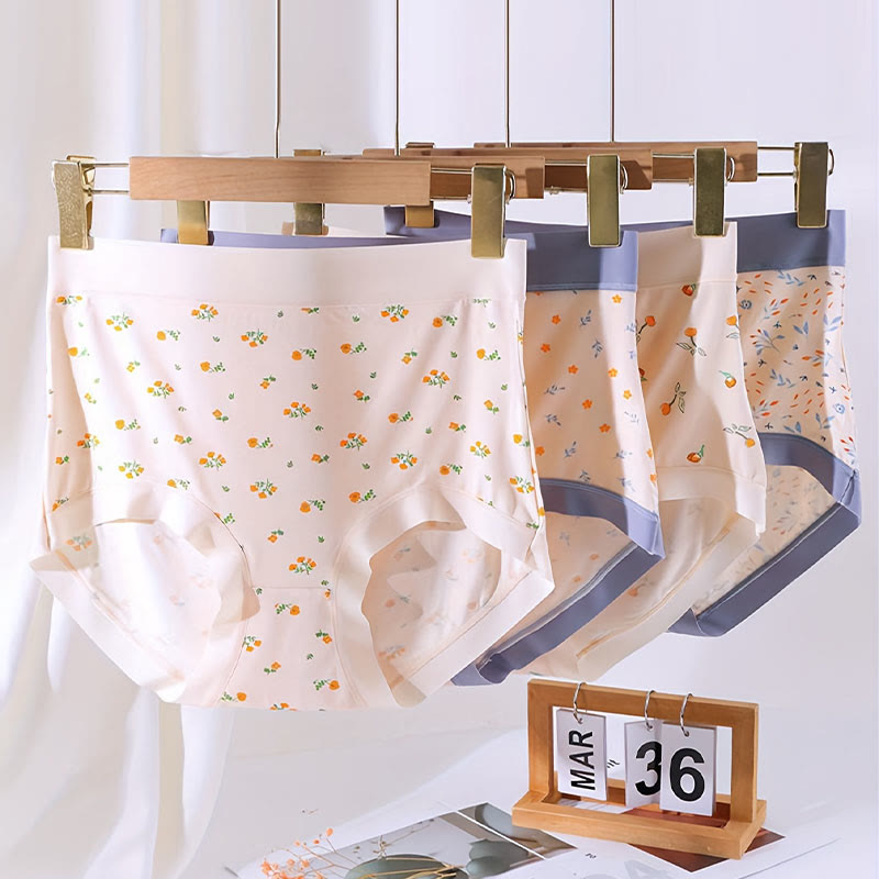 Elegante Höschen mit Blumenmuster (4er-Pack) - Mehrfarbig - 3XL - image 5