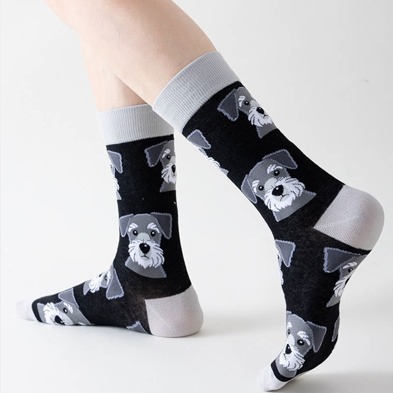 Panda-Hundekatzen-Viertel-Socken (5 Paar) - image 4
