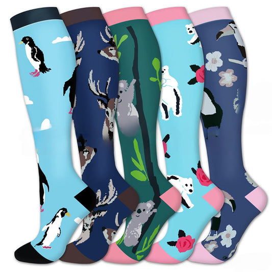 Kompressionsstrümpfe mit Koala-Pinguin-Motiv (5 Paar) - Mehrfarbig - S/M - image 1
