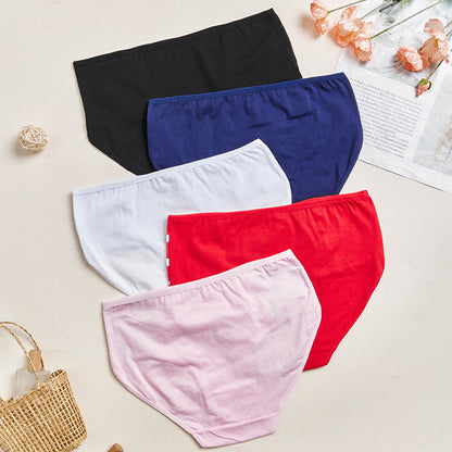 Slips mit hohem Bund und seitlichem Aufdruck in Übergröße (3er-Pack)