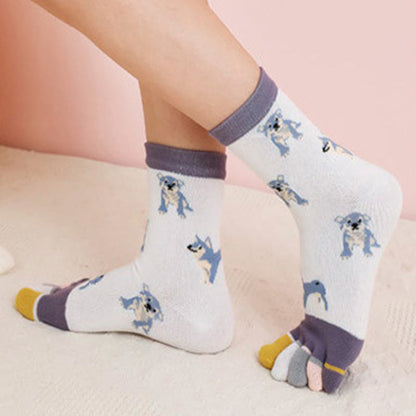 Socken zur Ausrichtung des Hundeviertels (5 Paar)