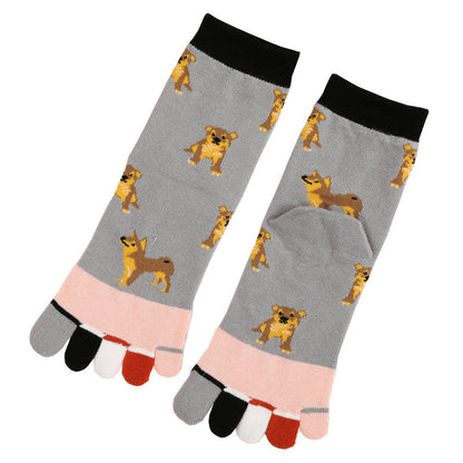 Socken zur Ausrichtung des Hundeviertels (5 Paar)
