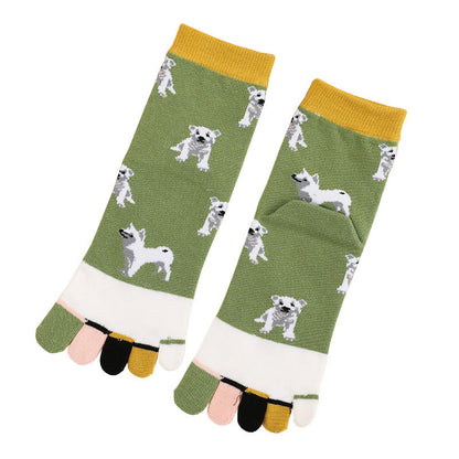 Socken zur Ausrichtung des Hundeviertels (5 Paar)