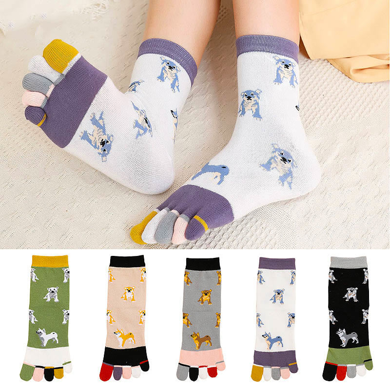 Socken zur Ausrichtung des Hundeviertels (5 Paar)