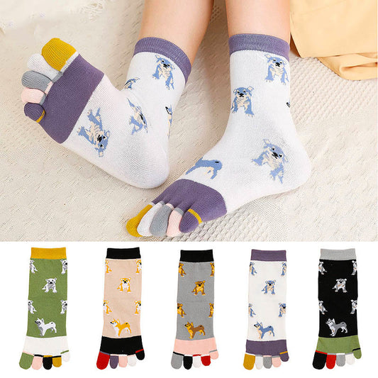 Socken zur Ausrichtung des Hundeviertels (5 Paar)