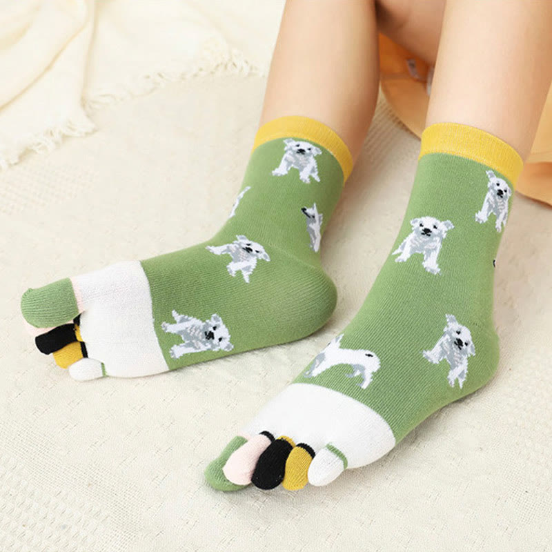 Socken zur Ausrichtung des Hundeviertels (5 Paar)