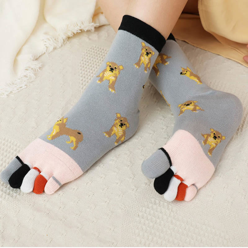 Socken zur Ausrichtung des Hundeviertels (5 Paar)