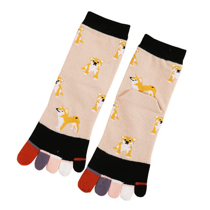 Socken zur Ausrichtung des Hundeviertels (5 Paar)