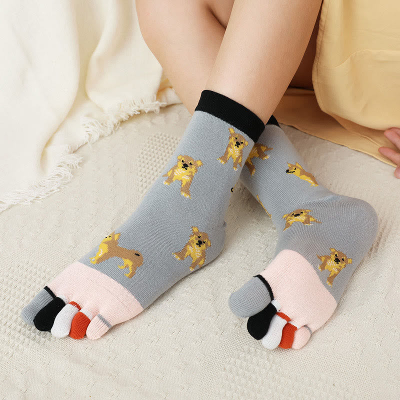 Socken zur Ausrichtung des Hundeviertels (5 Paar)