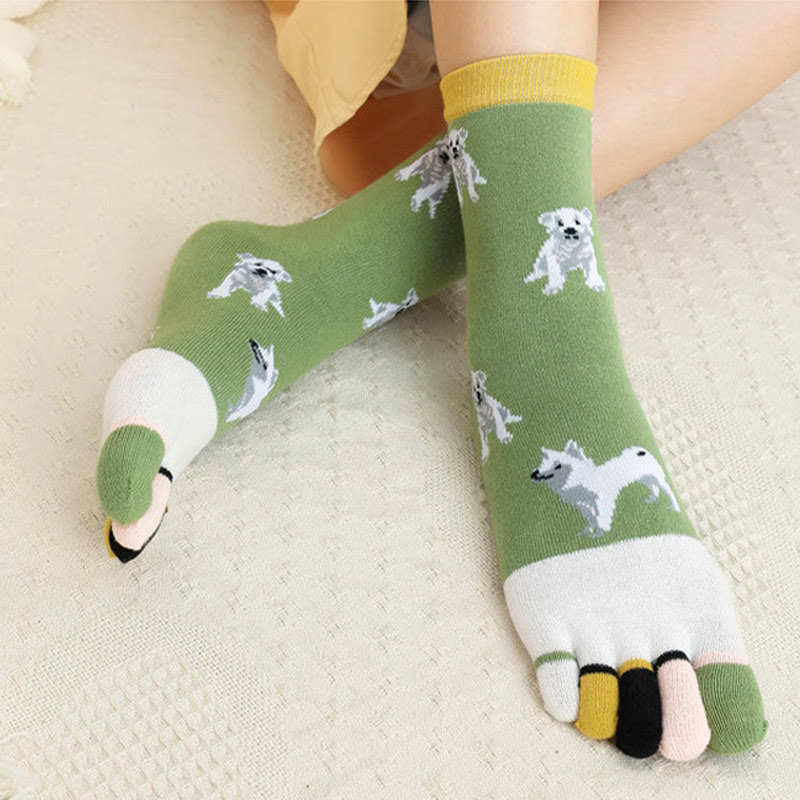 Socken zur Ausrichtung des Hundeviertels (5 Paar)