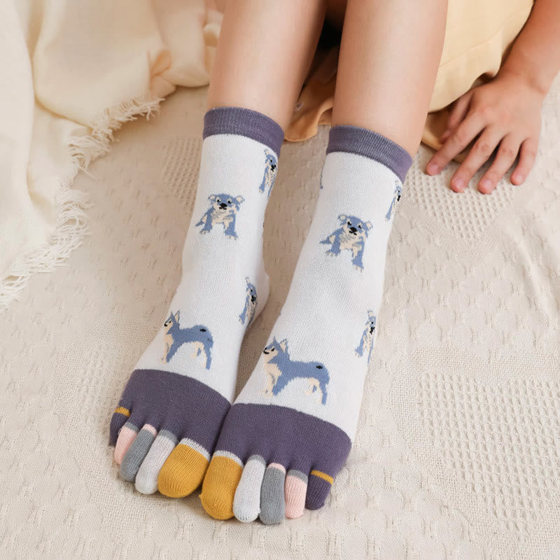 Socken zur Ausrichtung des Hundeviertels (5 Paar)