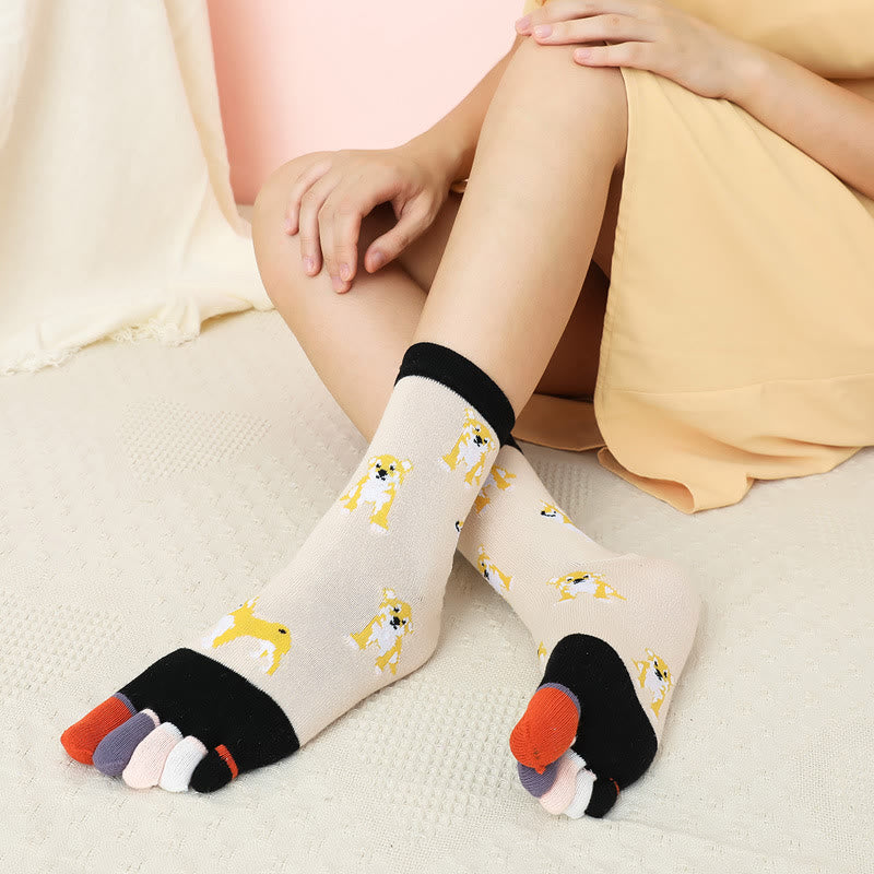 Socken zur Ausrichtung des Hundeviertels (5 Paar)