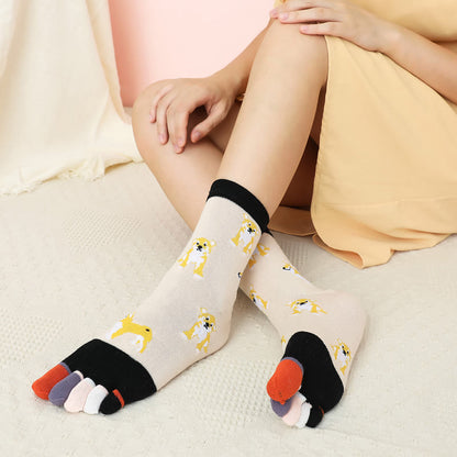Socken zur Ausrichtung des Hundeviertels (5 Paar)