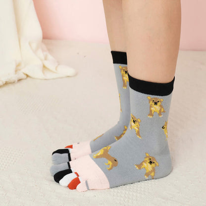 Socken zur Ausrichtung des Hundeviertels (5 Paar)