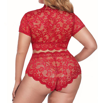 Sexy Spitzen-BH-Set in Übergröße, transparent, bügellos