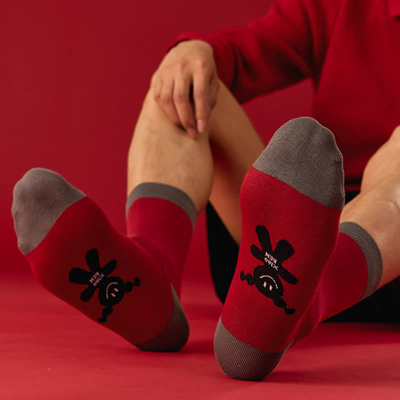 Glücksviertel-Socken (5 Paar) - image 2