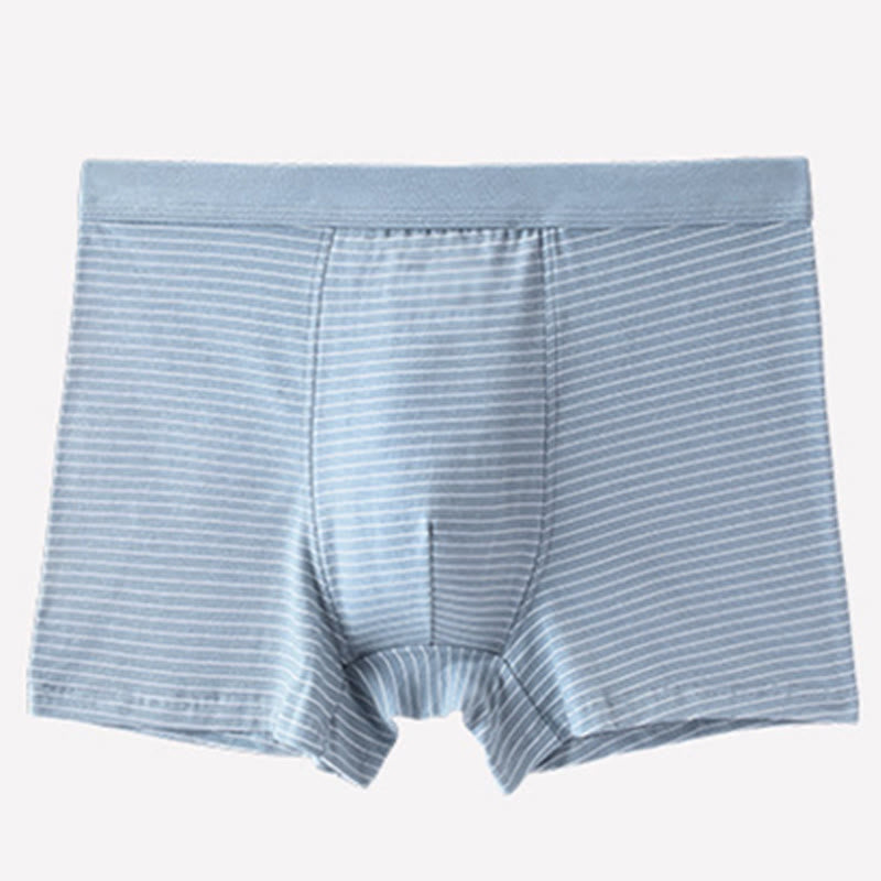 Boxershorts aus Baumwolle mit Streifen - Hellblau - 9XL - image 5