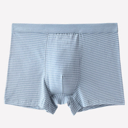 Boxershorts aus Baumwolle mit Streifen - Hellblau - 9XL - image 5