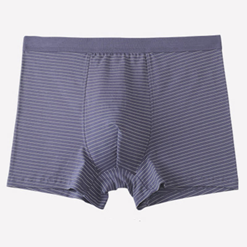 Boxershorts aus Baumwolle mit Streifen - Lila - 9XL - image 3