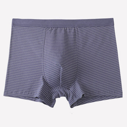 Boxershorts aus Baumwolle mit Streifen - Lila - 9XL - image 3