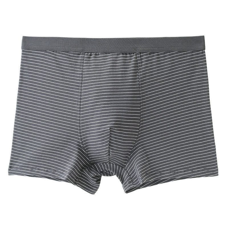 Boxershorts aus Baumwolle mit Streifen - Grau - 9XL - image 1