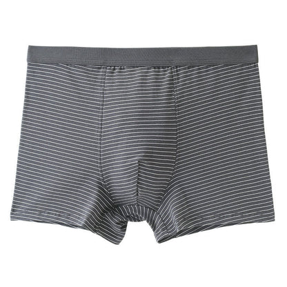 Boxershorts aus Baumwolle mit Streifen - Grau - 9XL - image 1