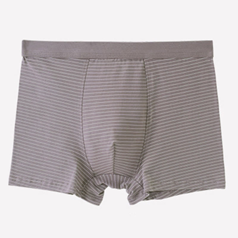 Boxershorts aus Baumwolle mit Streifen - Khaki - 9XL - image 2