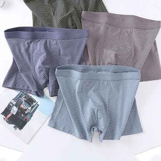 Boxershorts aus Baumwolle mit Streifen - image 0