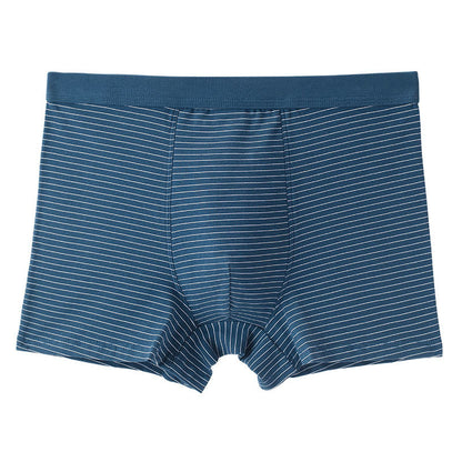 Boxershorts aus Baumwolle mit Streifen - Dunkelblau - 9XL - image 9