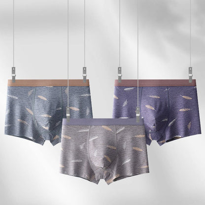 Boxershorts aus Baumwolle mit Federn - image 3