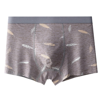 Boxershorts aus Baumwolle mit Federn - Grau - 9XL - image 6