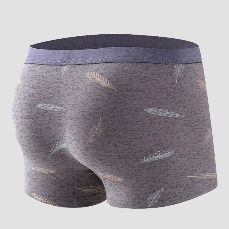 Boxershorts aus Baumwolle mit Federn - image 1