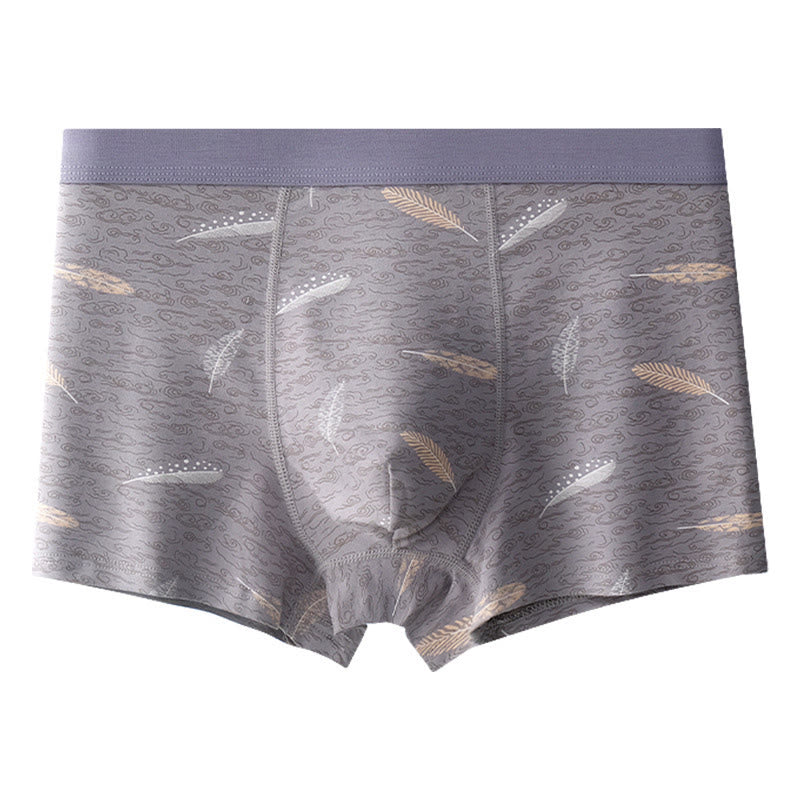 Boxershorts aus Baumwolle mit Federn - Hellgrau - 9XL - image 7