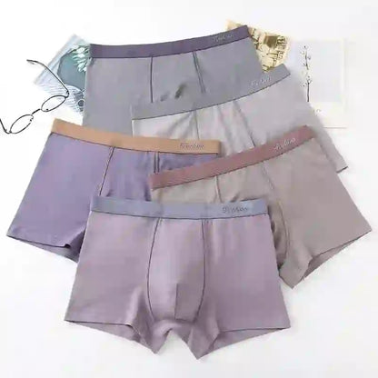 Boxershorts in Unifarben - image 1