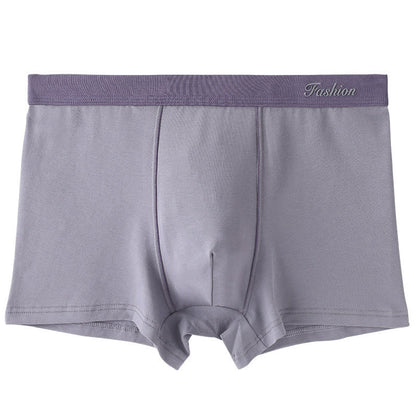 Boxershorts in Unifarben - Grau - 6XL - image 3