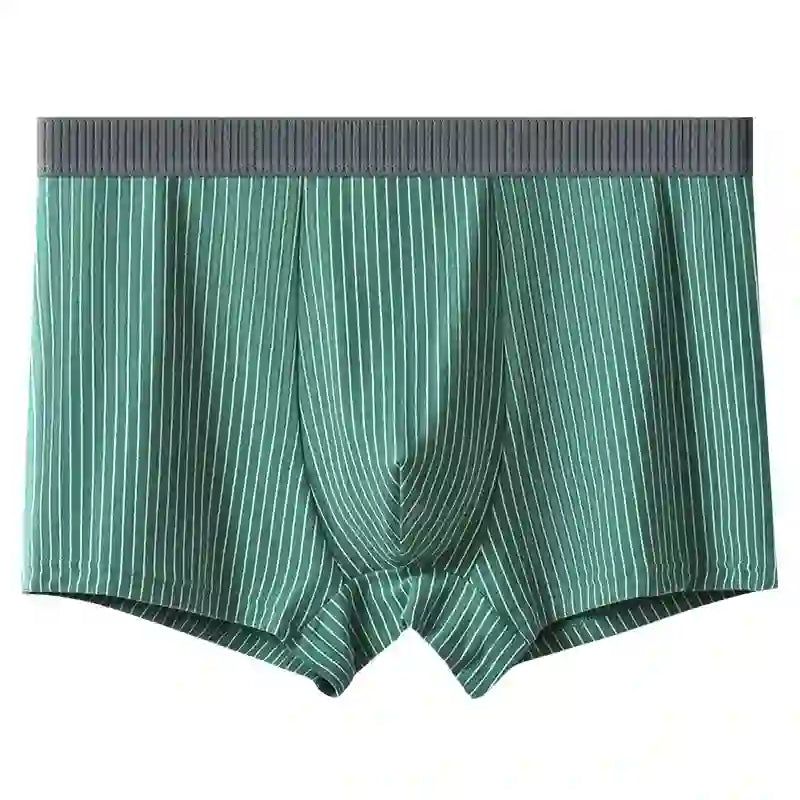 Klassische Boxershorts mit Streifen - Grün - 10XL - image 5