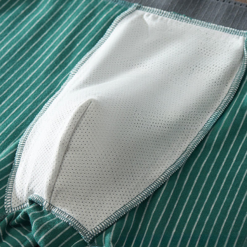 Klassische Boxershorts mit Streifen - image 4