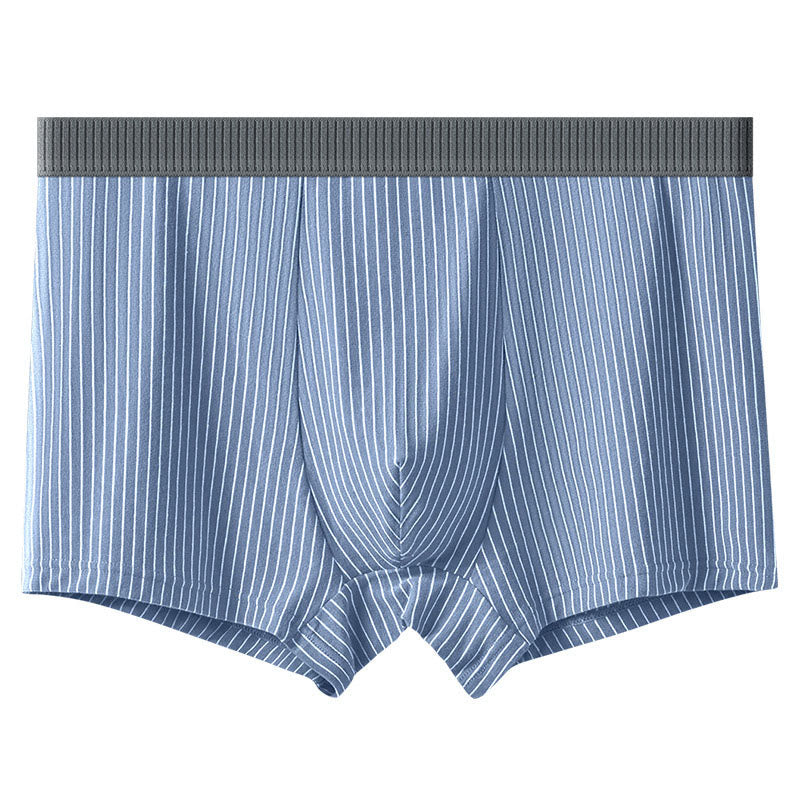 Klassische Boxershorts mit Streifen - Blau - 10XL - image 6
