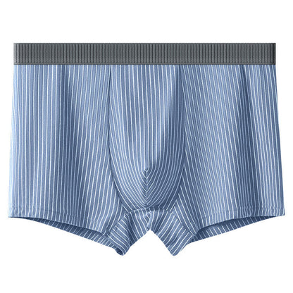 Klassische Boxershorts mit Streifen - Blau - 10XL - image 6