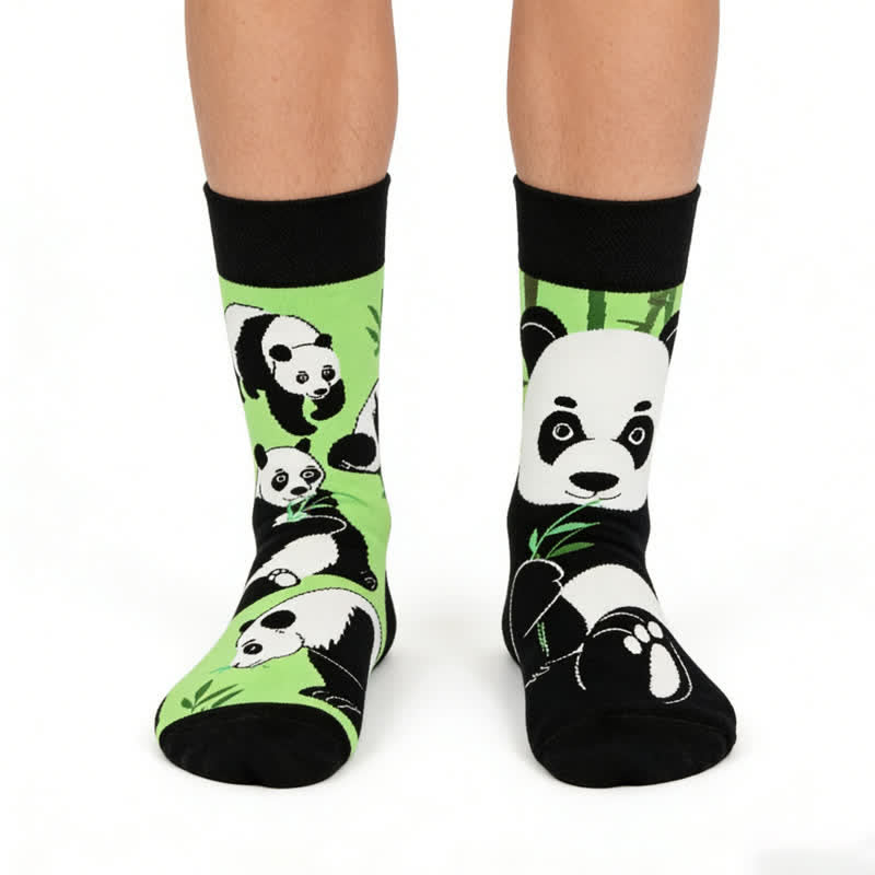 Panda-Cartoon-Socken - Grün - EU36-43 (US3-9) - image 0