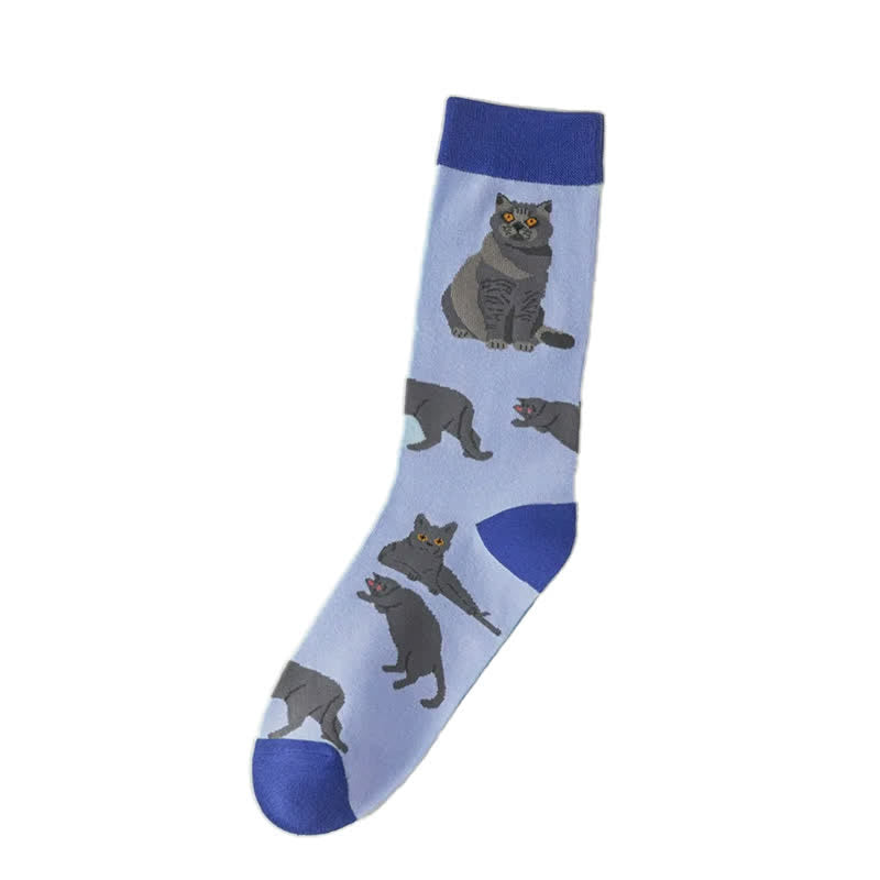 Niedliche Katzen-Socken (5 Paar) - image 4