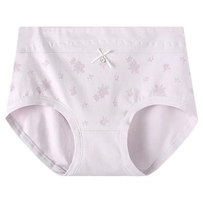 Baumwoll-Slip mit Blumenmuster und hohem Bund (2er-Pack) - Hellviolett - XXXL - image 6