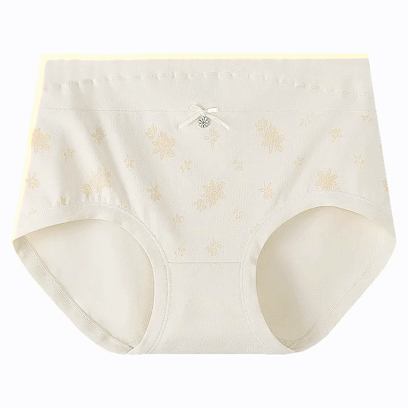 Baumwoll-Slip mit Blumenmuster und hohem Bund (2er-Pack) - Aprikose - XXXL - image 5