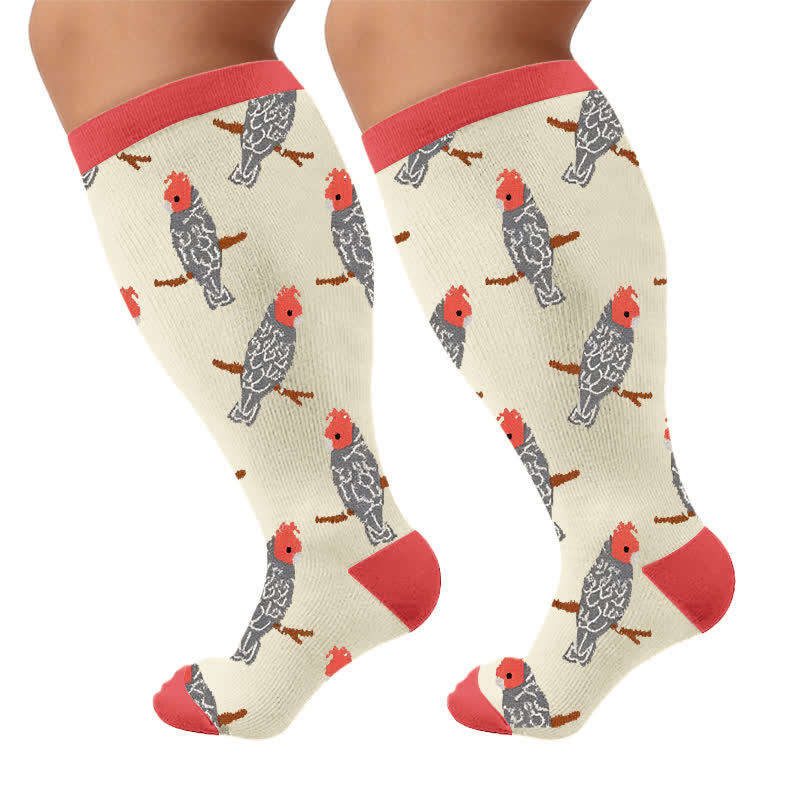 Bird Kompressionsstrümpfe in Übergröße - Rot (1 Paar) - 4XL - image 10